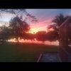 palmbeachman1
